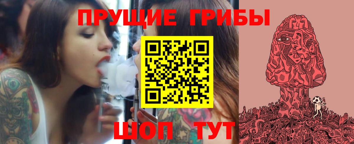 Красногорск  Псилоцибиновые грибы прущие грибы  Вход с VPN 